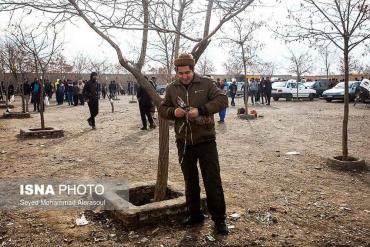 خروس در بازار پرندگان مشهد