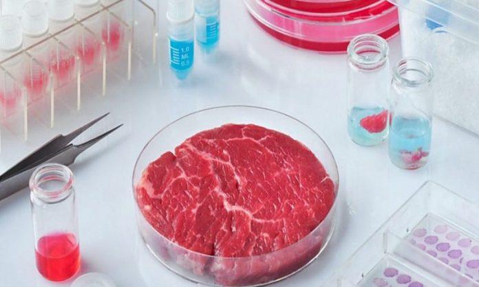 فناوری تولید گوشت در آزمایشگاه ها