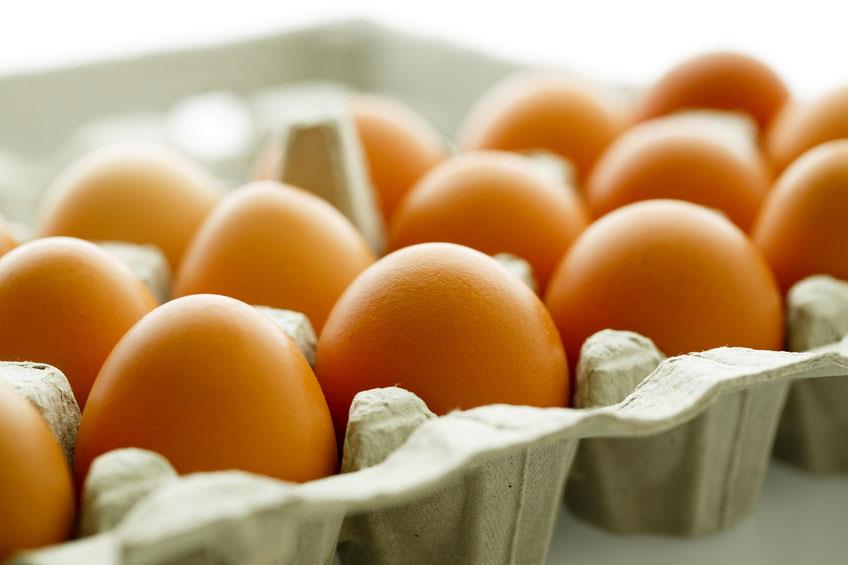نقش دانه کتان در غنی سازی تخم مرغ