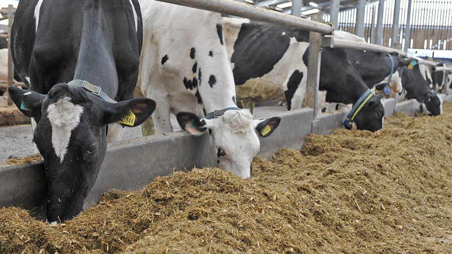 پیش بینی ارزش غذایی جیره روزانه گاوهای شیری