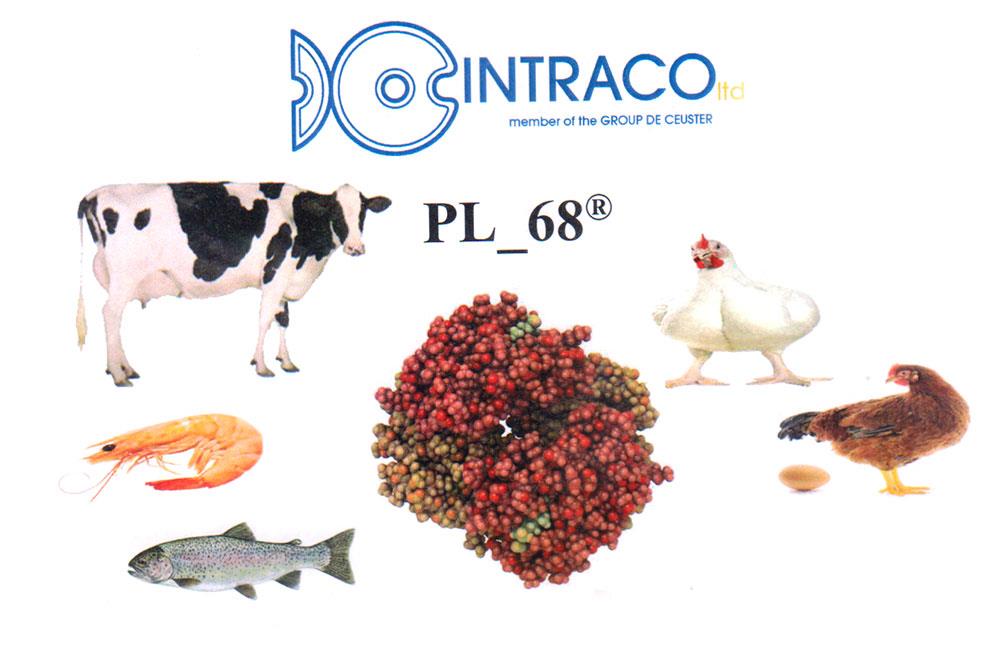 محصول PL-68 منبع پروتئین و اسید آمینه