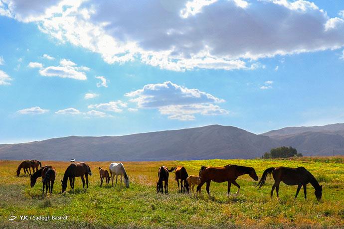 دشت زیبای فارس