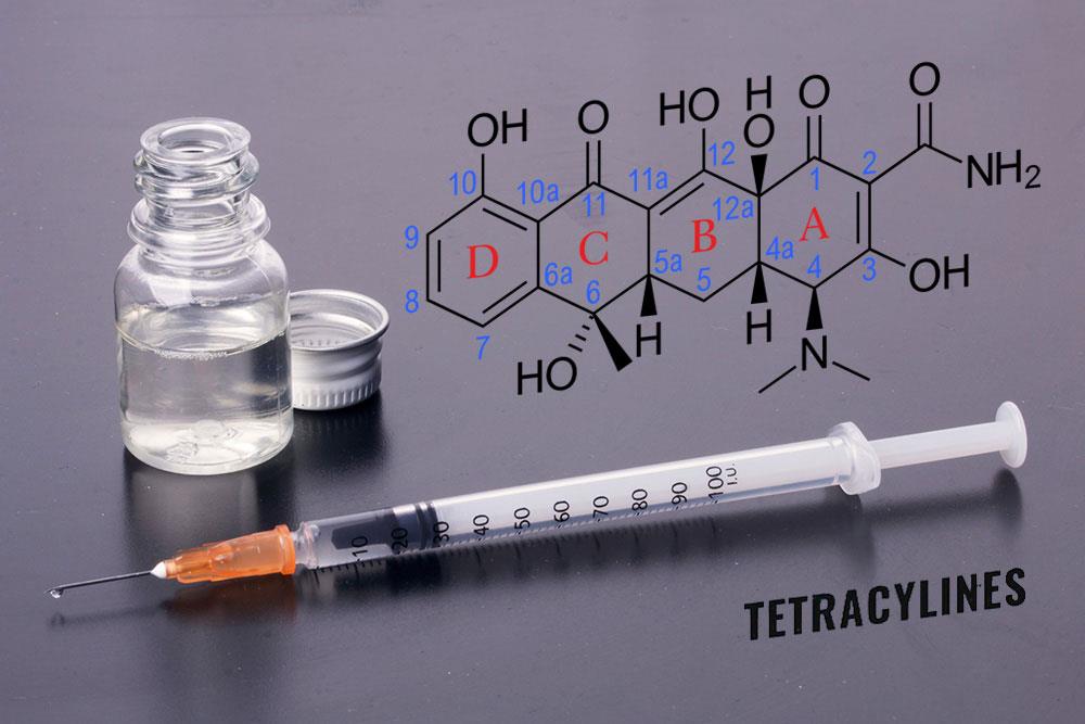 گروه تتراسیکلین ها