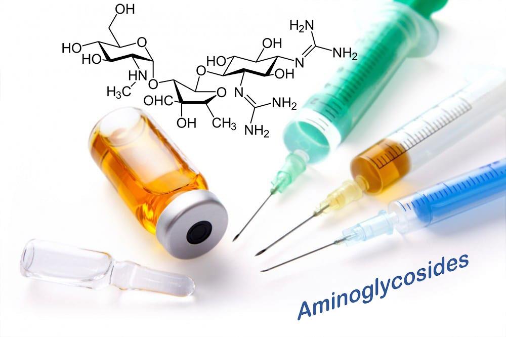 گروه آمینوگلیکوزیدها