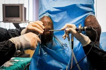 جراحی بر روی پای اسب در مشهد