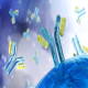 ایمونوگلوبولین ها، T Cell و B Cell و نقش آنها در سیستم ایمنی طیور