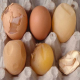 سندرم افت تولید تخم مرغ