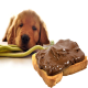 خوردن شکلات سگ را می‌کشد