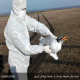سروتیپ خطرناک H5N6 ویروس آنفلوآنزای فوق حاد پرندگان وارد کشور شد