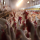 تأثیر پروتکسین در کاستن از استرس گرمایی در مرغ‌های گوشتی
