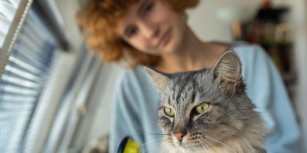 اهلی شدن گربه ها: آیا گربه انسان را اهلی کرد یا برعکس؟