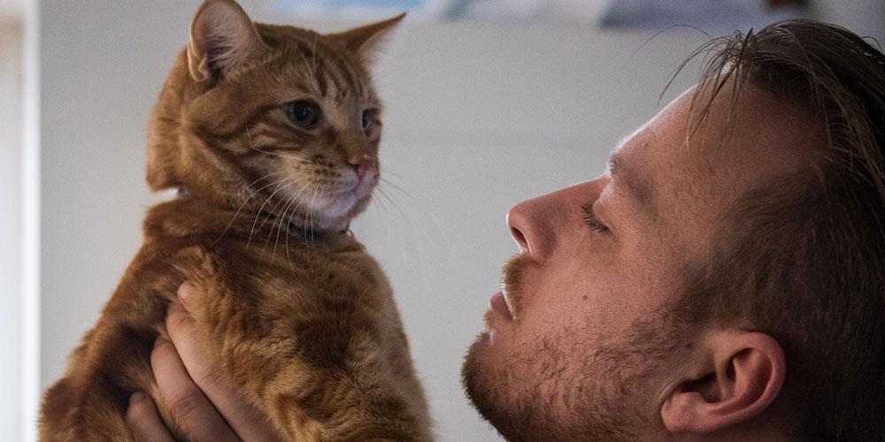 دعوا کردن با گربه هیچ فایده ای ندارد؛ دلایل علمی که باید بدانید