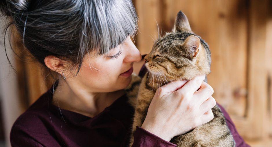 مطالعات ثابت می کنند که گربه شما توانایی تشخیص صدای شما را دارد