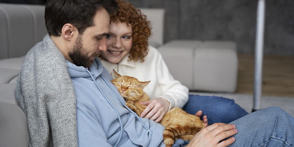 چرا گربه برخی از اعضای خانواده را به دیگران ترجیح می دهد؟