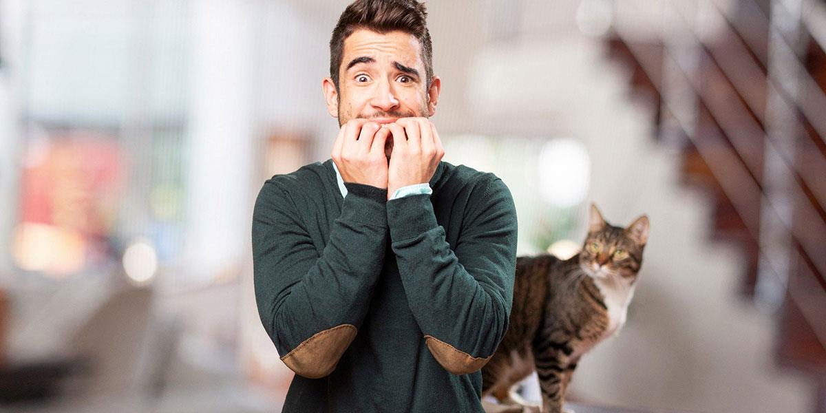 ترس از گربه یا آیلوروفوبیا چیست؟ علائم، دلایل و راه های درمان