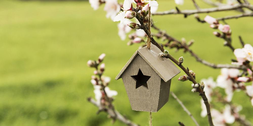 چرا پرندگان لانه پرنده دست ساز انسان را انتخاب نمی کنند؟