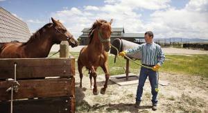 رفتارشناسی و آموزش اسب